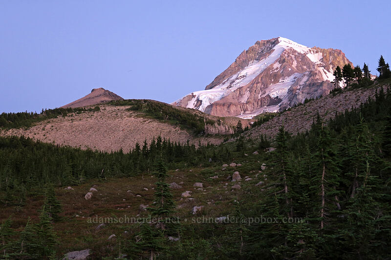 Barrett Spur & Mt. Hood after sunset [Vista Ridge Trail, Mt. Hood Wilderness, Hood River County, Oregon]
