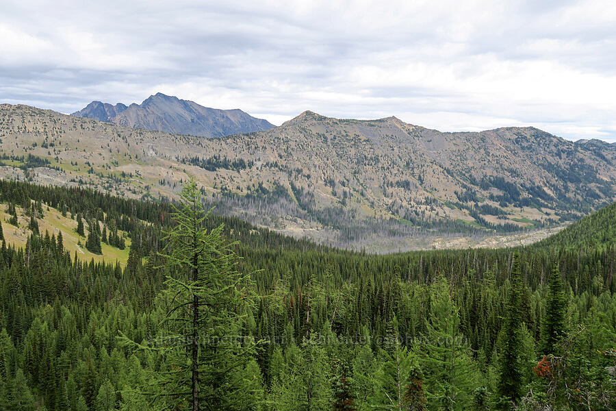 Robinson Mountain & Rattlesnake Creek Valley [Pacific Crest Trail, Okanogan-Wenatchee National Forest, Okanogan County, Washington]
