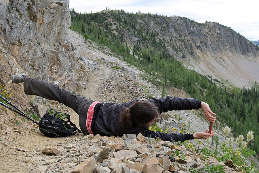 cell phone photography [Pacific Crest Trail, Okanogan-Wenatchee National Forest, Okanogan County, Washington]