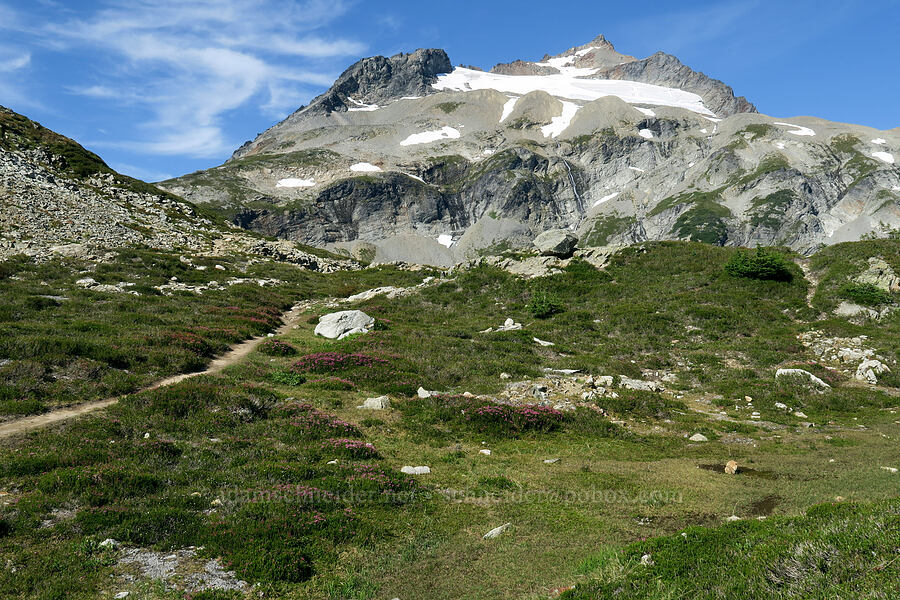 Sahale Mountain & alpine meadows [Sahale Arm Trail, North Cascades National Park, Chelan County, Washington]