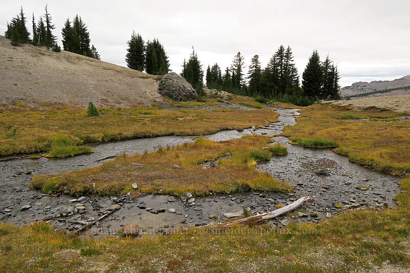 spring [below Broken Top, Three Sisters Wilderness, Deschutes County, Oregon]
