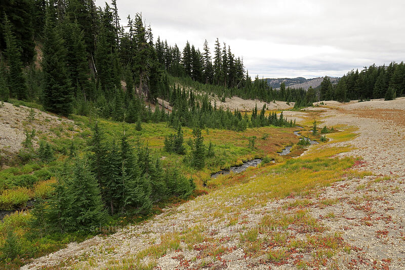 spring-fed stream [below Broken Top, Three Sisters Wilderness, Deschutes County, Oregon]