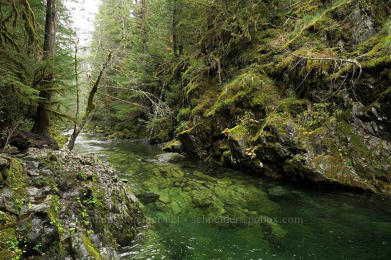 Opal Creek & Opal Pool [Kopetski Trail, Opal Creek Scenic Recreation Area, Marion County, Oregon]
