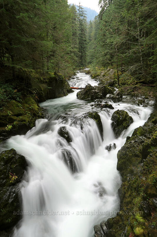 Opal Pool Falls [Kopetski Trail, Opal Creek Scenic Recreation Area, Marion County, Oregon]