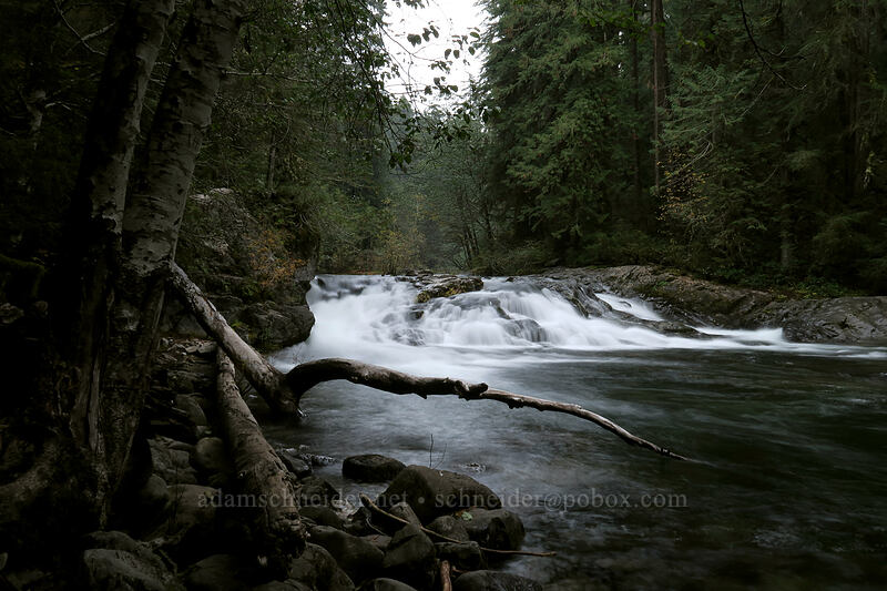 Little North Santiam River [Forest Road 2209, Opal Creek Scenic Recreation Area, Marion County, Oregon]