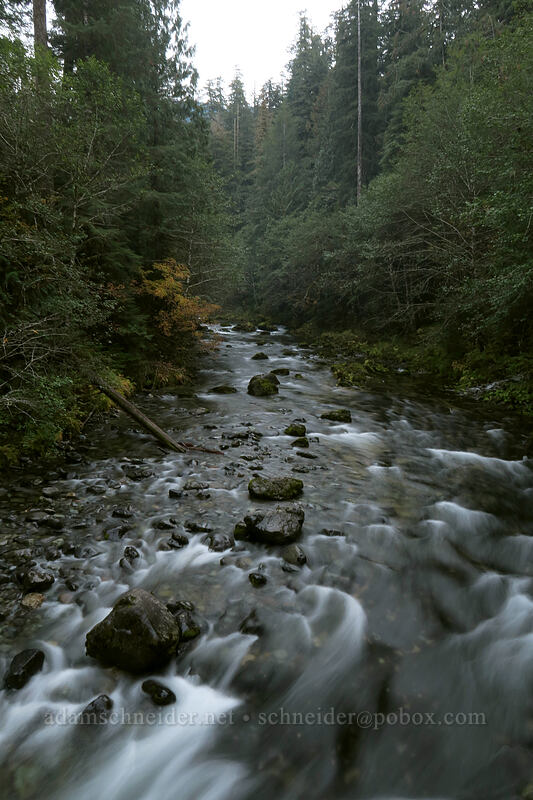 Little North Santiam River [Kopetski Bridge, Opal Creek Scenic Recreation Area, Marion County, Oregon]