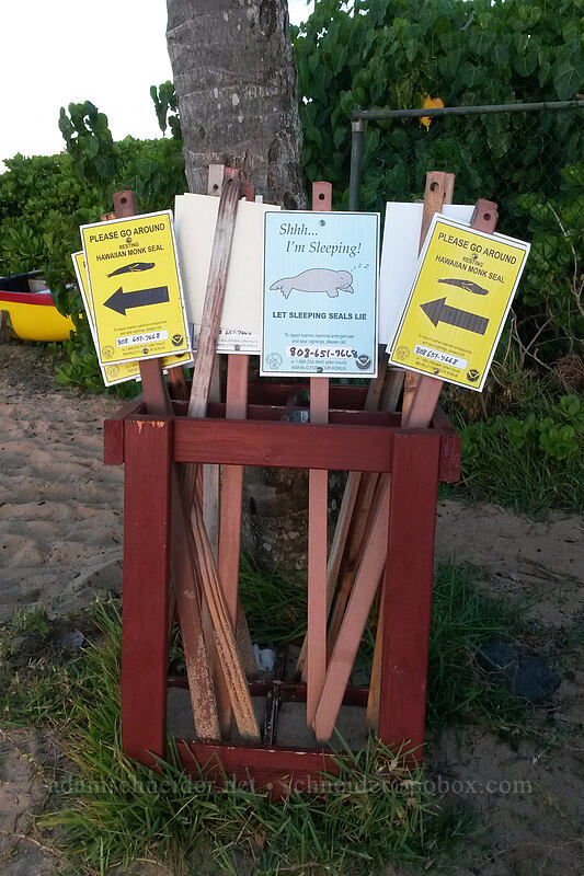 monk seal signs [Po'ipu Beach Park, Po'ipu, Kaua'i, Hawaii]