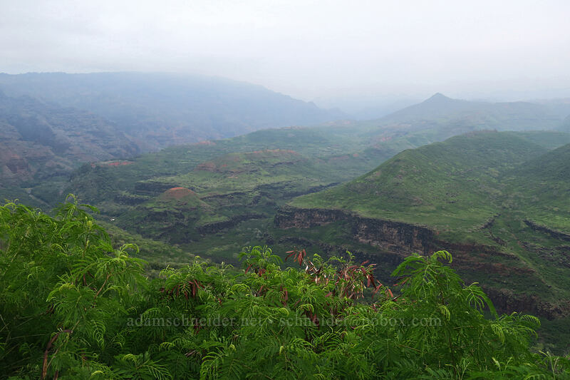 haze in Waimea Canyon [Waimea Canyon Drive, Waimea, Kaua'i, Hawaii]