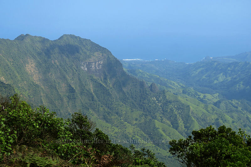 Pali 'Ele'ele [Kilohana Viewpoint, Alaka'i Wilderness Preserve, Kaua'i, Hawaii]
