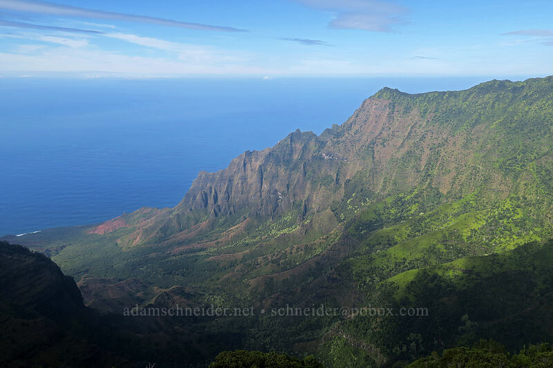 Kalalau Valley [Pihea Trail, Koke'e State Park, Kaua'i, Hawaii]