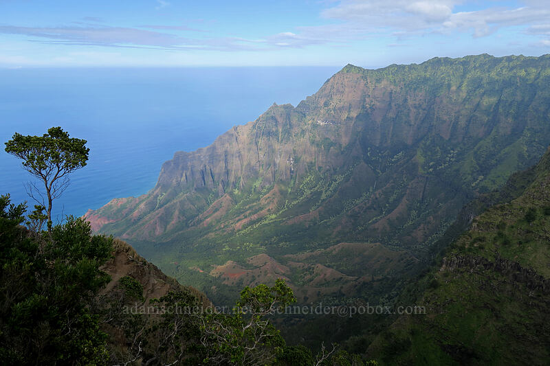 Kalalau Valley [Kalepa Ridge Trail, Na Pali Coast State Park, Kaua'i, Hawaii]