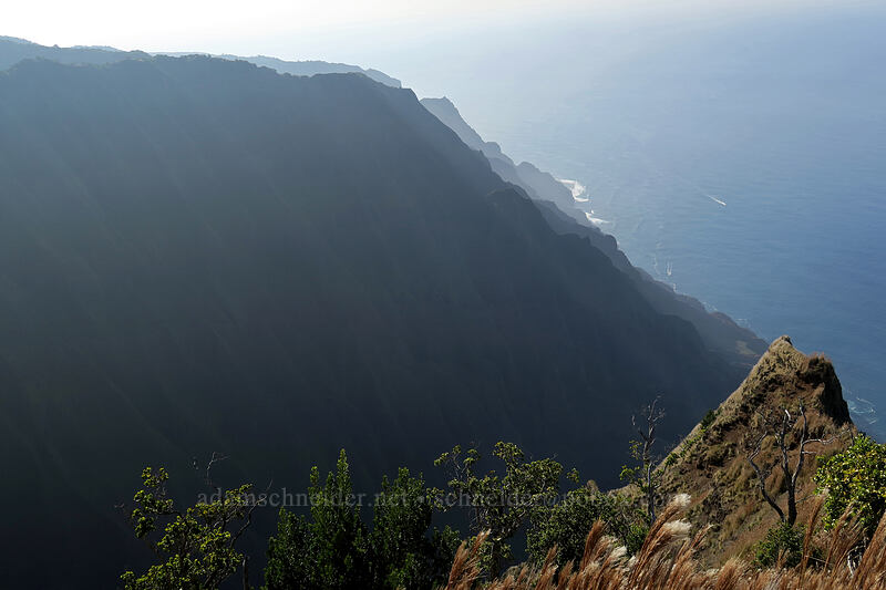 Honopu Valley & the western Na Pali Coast [Kalepa Ridge Trail, Na Pali Coast State Park, Kaua'i, Hawaii]