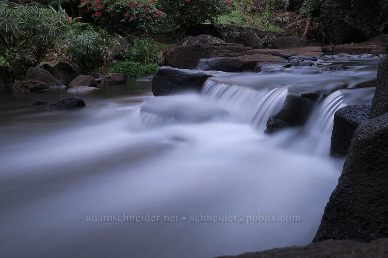 Waikomo Stream [Koloa Landing, Po'ipu, Kaua'i, Hawaii]