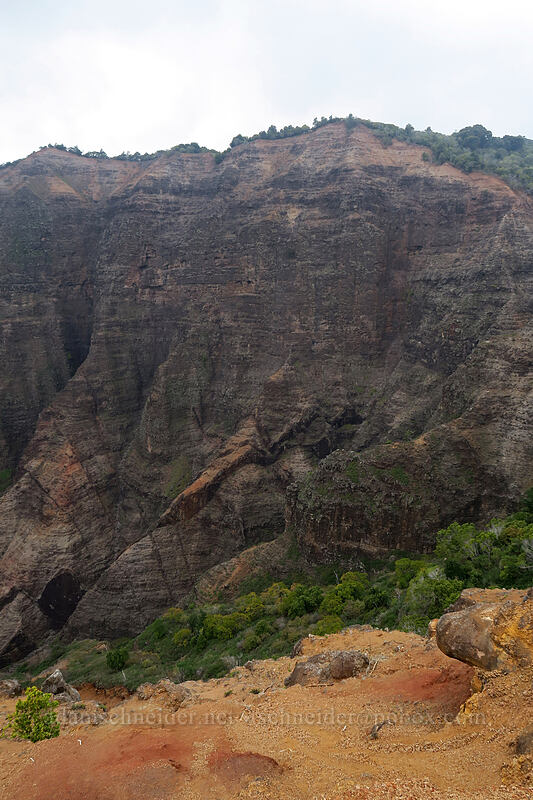 Pu'u Hinahina [Canyon Trail, Waimea Canyon State Park, Kaua'i, Hawaii]