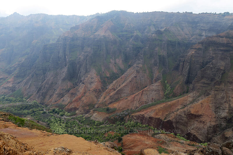 Waimea Canyon [Canyon Trail, Waimea Canyon State Park, Kaua'i, Hawaii]