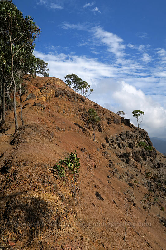 trail to Ka'ou [Canyon Trail, Waimea Canyon State Park, Kaua'i, Hawaii]