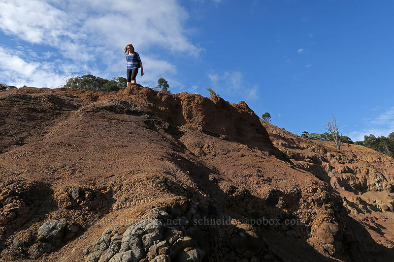 descending from Ka'ou [Canyon Trail, Waimea Canyon State Park, Kaua'i, Hawaii]