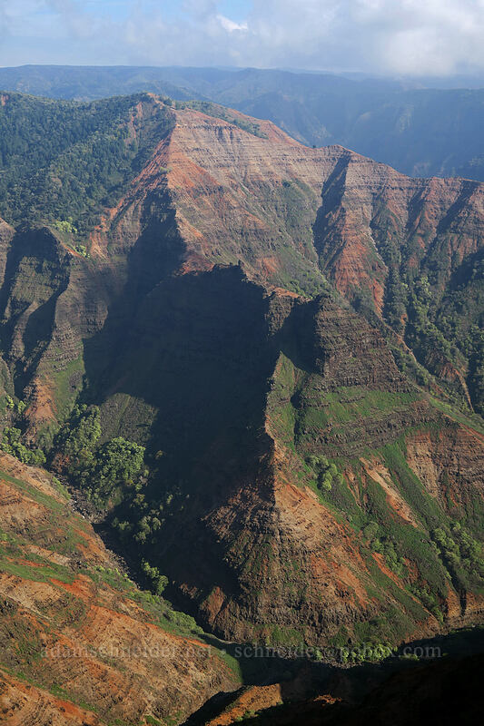 Po'omau Canyon [Canyon Trail, Waimea Canyon State Park, Kaua'i, Hawaii]