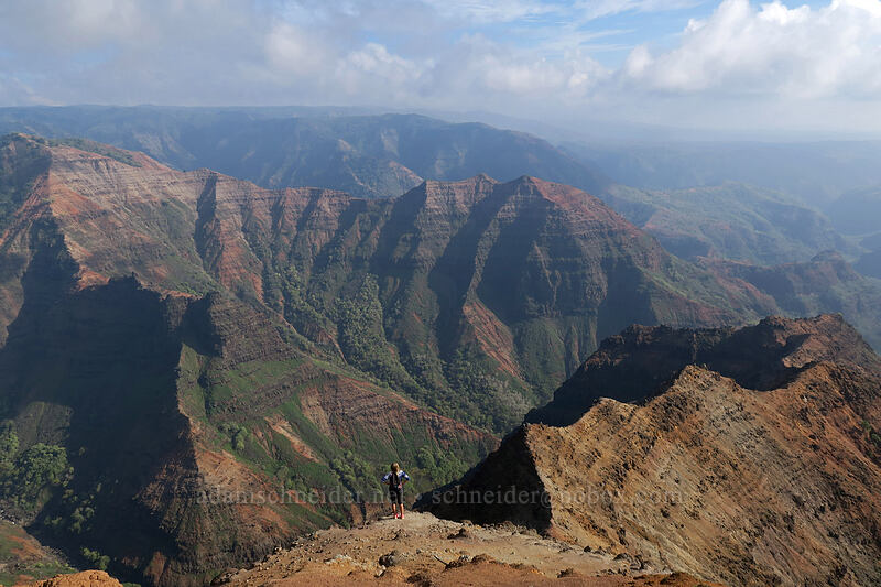 Po'omau Canyon & Waimea Canyon [Canyon Trail, Waimea Canyon State Park, Kaua'i, Hawaii]
