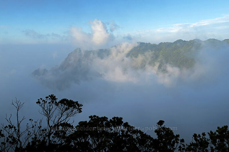 clouds in Kalalau Valley [Pihea Trail, Koke'e State Park, Kaua'i, Hawaii]