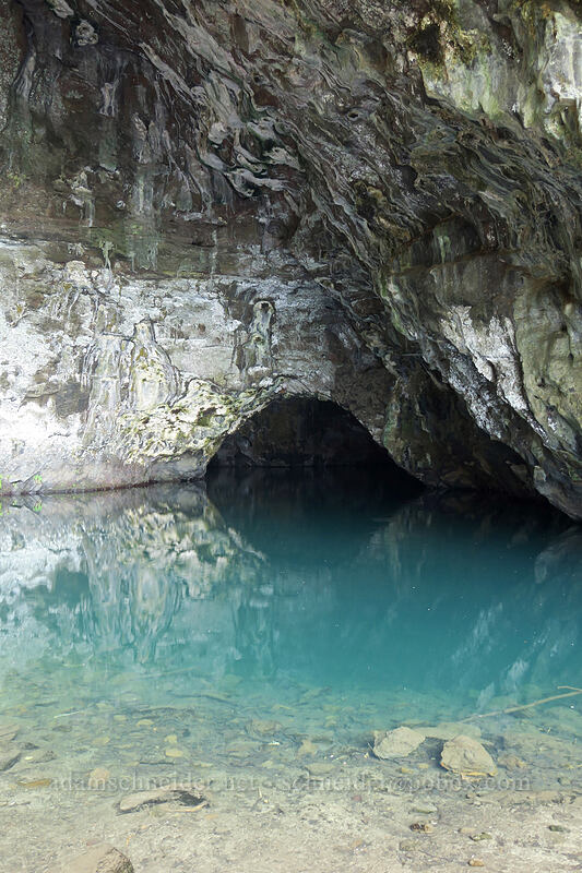 Waikanaloa Wet Cave [Waikanaloa Cave, Ha'ena State Park, Kaua'i, Hawaii]
