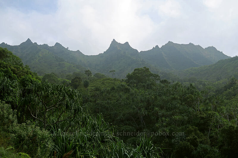 ridge behind Mauna Pulu'o [Kalalau Trail, Na Pali Coast State Park, Kaua'i, Hawaii]