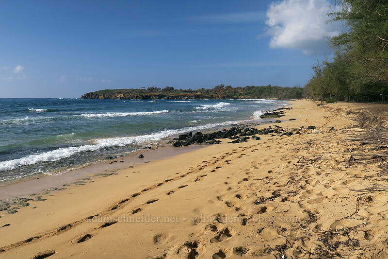 Gillin's Beach [Gillin's Beach, Maha'ulepu, Kaua'i, Hawaii]