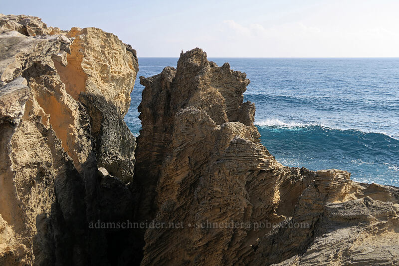 sharp sandstone [Pao'o Point, Maha'ulepu, Kaua'i, Hawaii]
