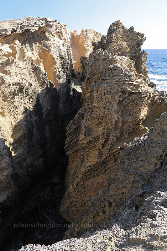 sharp sandstone [Pao'o Point, Maha'ulepu, Kaua'i, Hawaii]