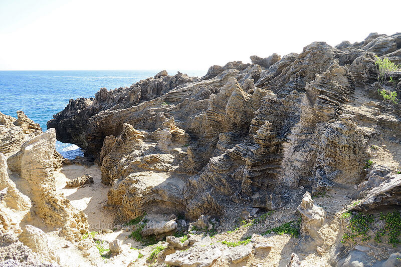 eroded sandstone [Pao'o Point, Maha'ulepu, Kaua'i, Hawaii]