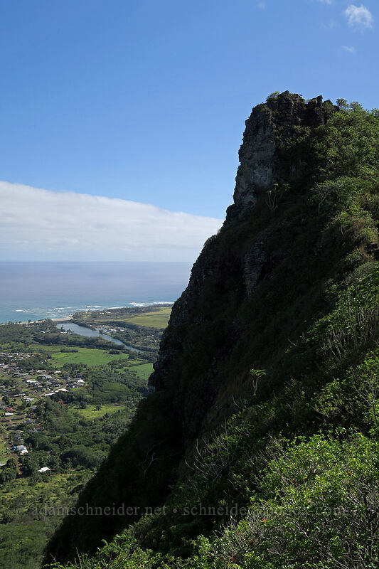 Nounou's summit and Wailua River [Nounou Mountain, Wailua, Kaua'i, Hawaii]