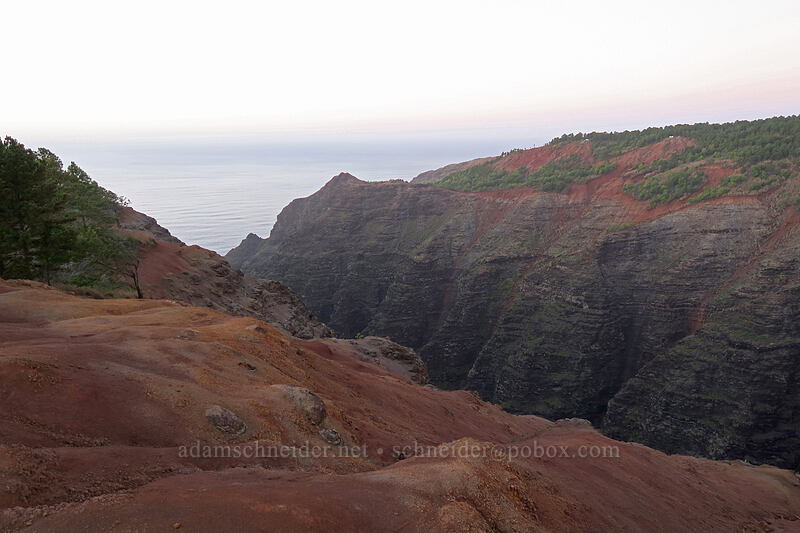 Makaha Valley & Miloli'i Ridge [Makaha Ridge Road, Pu'u ka Pele Forest Reserve, Kaua'i, Hawaii]