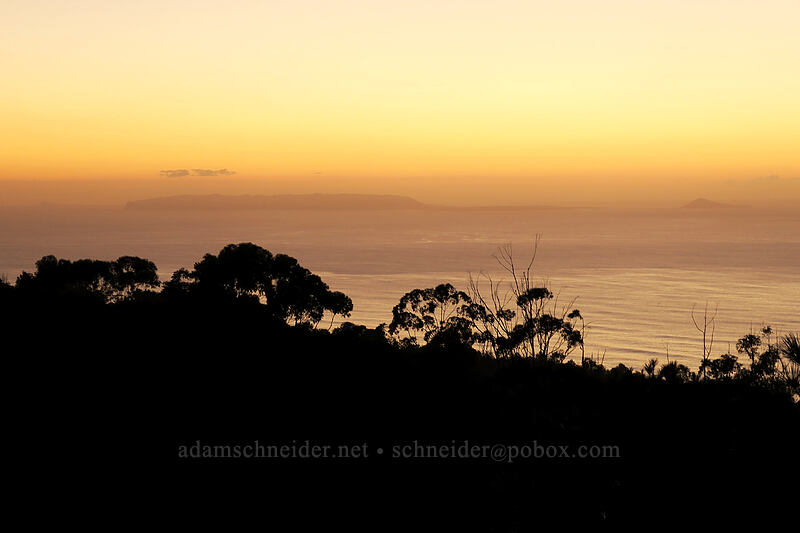 Ni'ihau & Lehua, after sunset [Makaha Ridge Road, Pu'u ka Pele Forest Reserve, Kaua'i, Hawaii]