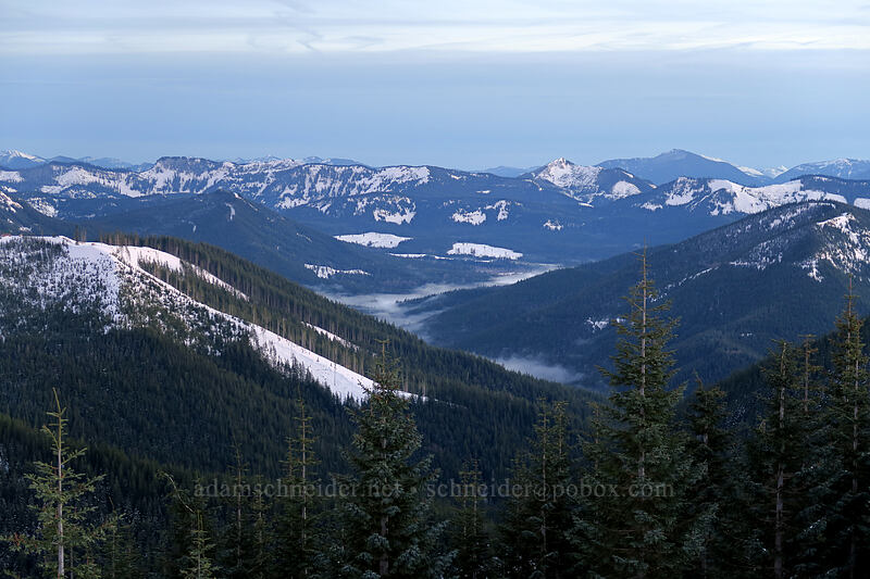fog along North Fork Mineral Creek [High Hut, Tahoma State Forest, Lewis County, Washington]