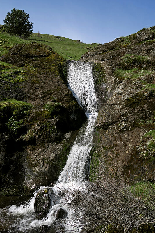 Little Maui Falls [The Labyrinth, Klickitat County, Washington]