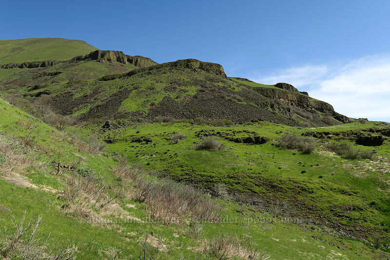 basalt terraces [Doug's Beach State Park, Klickitat County, Washington]
