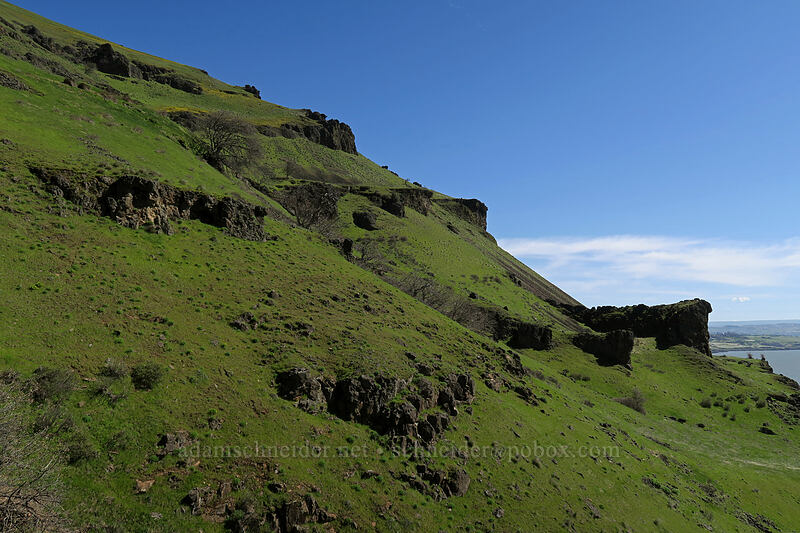 basalt cliffs & grassy slopes [Doug's Beach State Park, Klickitat County, Washington]