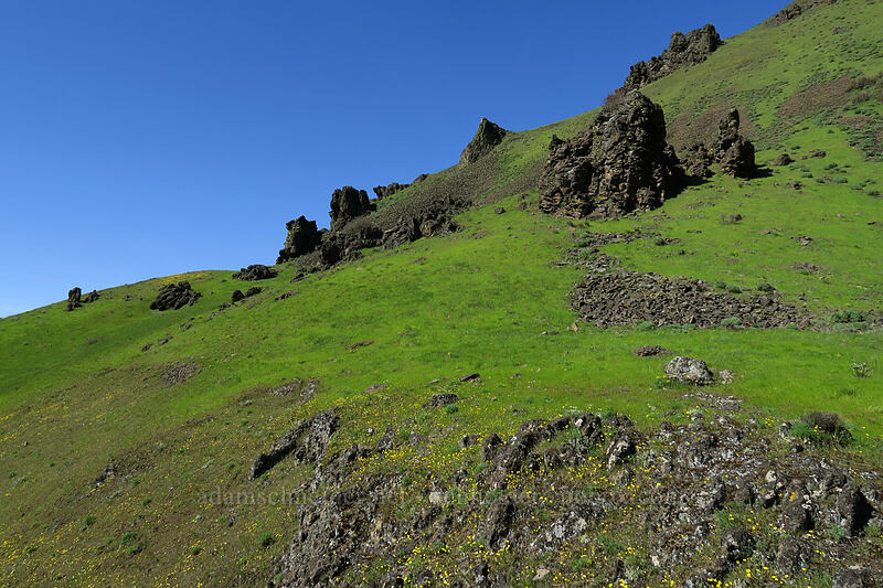 basalt pinnacles [Doug's Beach State Park, Klickitat County, Washington]