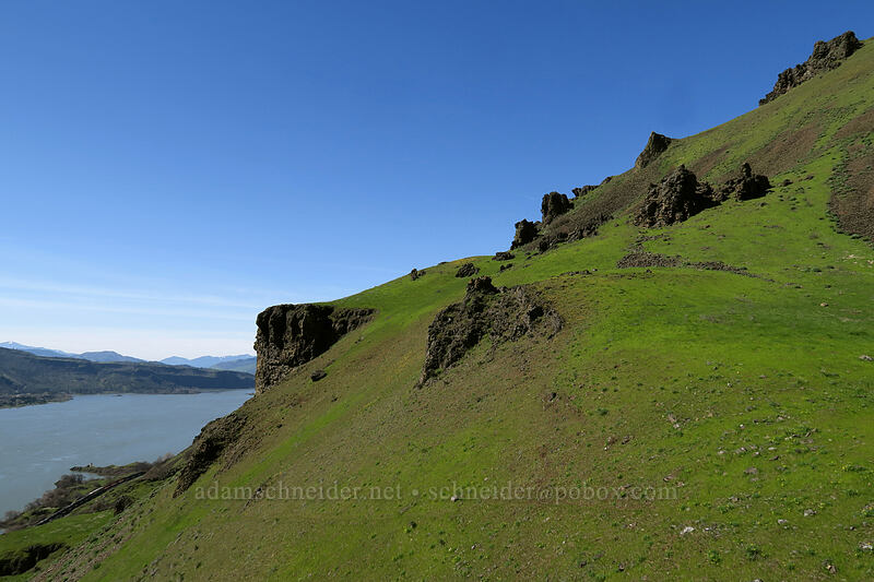 basalt pinnacles & the Columbia River [Doug's Beach State Park, Klickitat County, Washington]