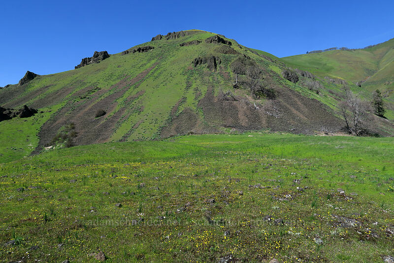 basalt crags & talus [Doug's Beach State Park, Klickitat County, Washington]