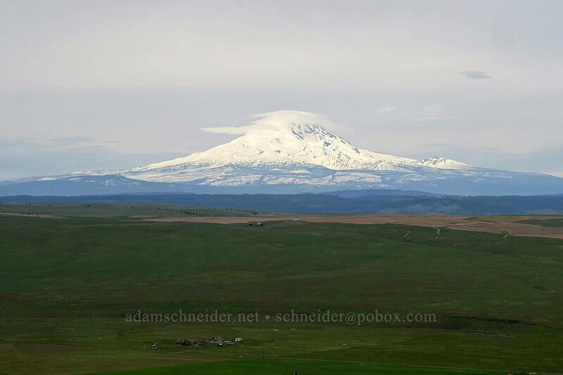 Mt. Adams [O'Brien Road, Klickitat County, Washington]