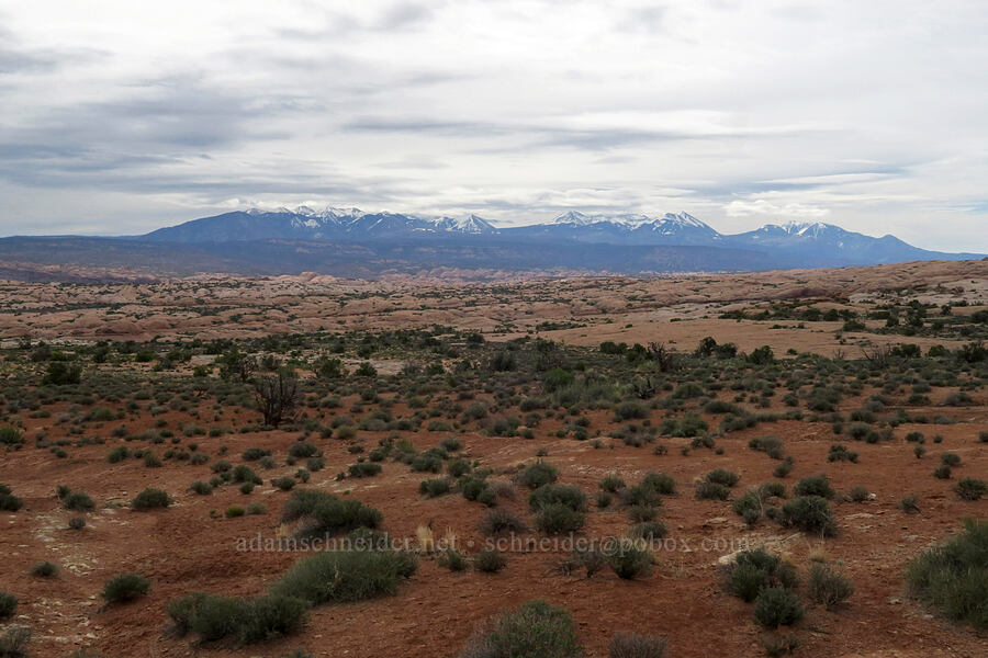 La Sal Mountains [La Sal Mountains Viewpoint, Arches National Park, Grand County, Utah]