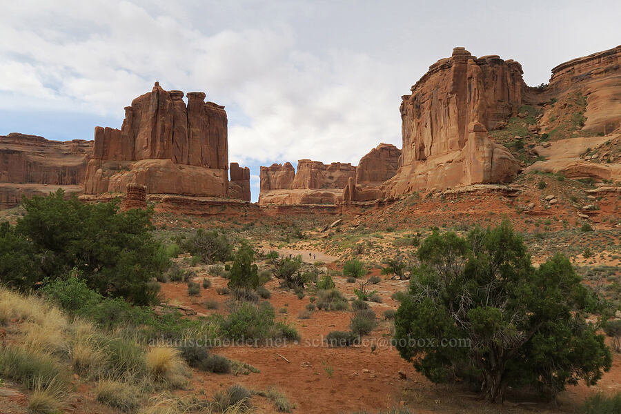 Park Avenue [Courthouse Towers Viewpoint, Arches National Park, Grand County, Utah]