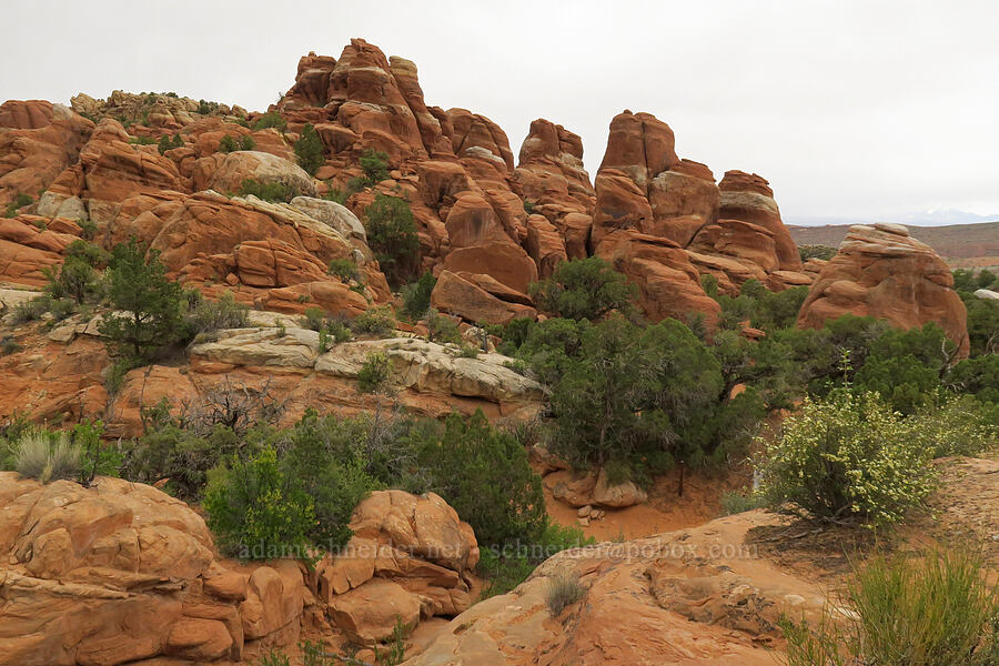 sandstone pinnacles [Fiery Furnace, Arches National Park, Grand County, Utah]