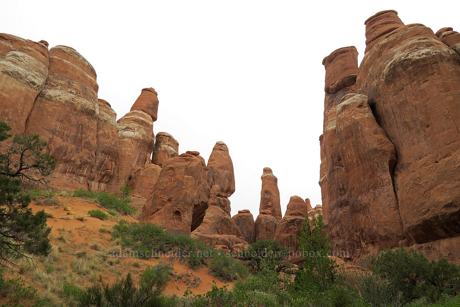 sandstone pinnacles [Fiery Furnace, Arches National Park, Grand County, Utah]