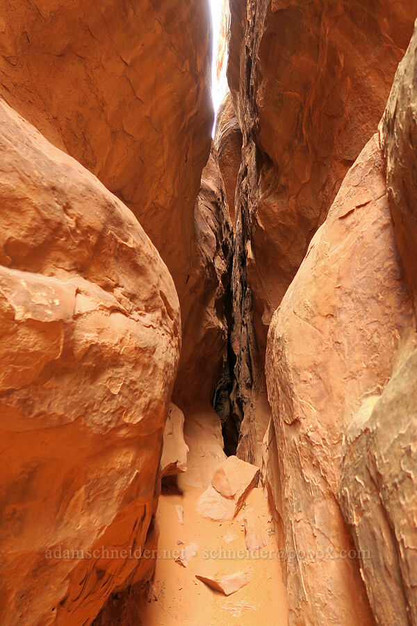 sandstone slot canyon [Fiery Furnace, Arches National Park, Grand County, Utah]