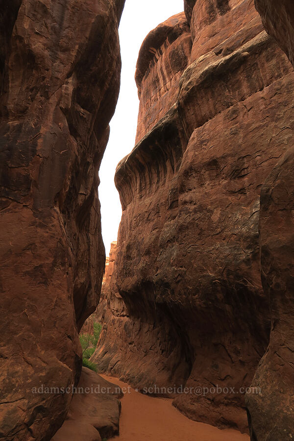 sandstone slot canyon [Fiery Furnace, Arches National Park, Grand County, Utah]