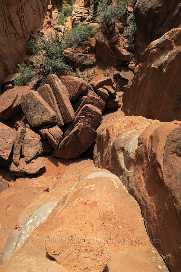 nasty climb [Fiery Furnace, Arches National Park, Grand County, Utah]