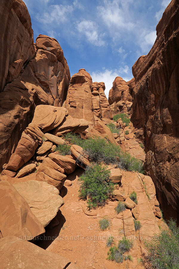 sandstone pinnacles [Fiery Furnace, Arches National Park, Grand County, Utah]