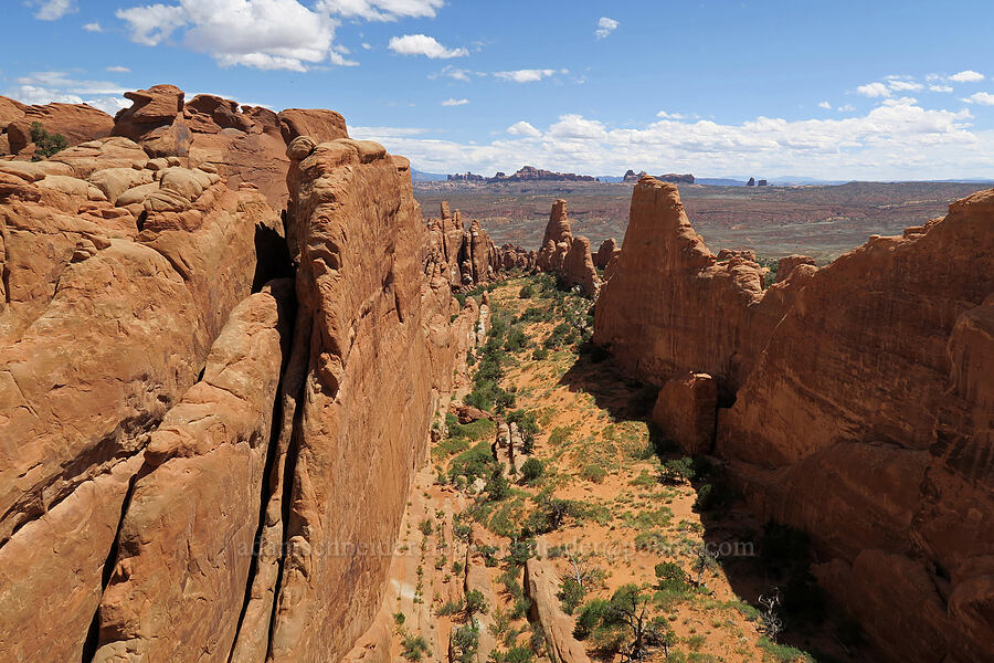 sandstone fins [Fiery Furnace, Arches National Park, Grand County, Utah]
